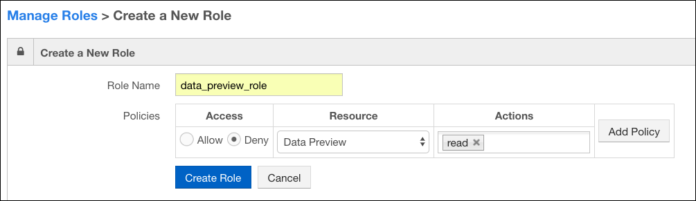 ../_images/create_data_preview_role.png